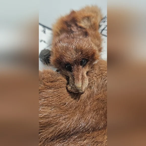 Vintage Mink Fur Whole Body Pelt Stole Collar Wrap Neck Shrug Clip Brown 30" - Picture 3 of 16